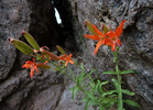 photo thumbnail #8
