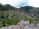 photo thumbnail #13