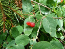 photo thumbnail #15