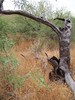 photo thumbnail #6