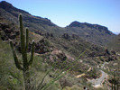 photo thumbnail #1