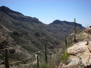 photo thumbnail #4