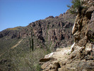 photo thumbnail #5
