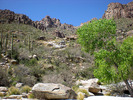 photo thumbnail #7