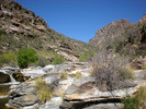 photo thumbnail #9