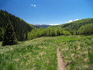 photo thumbnail #3