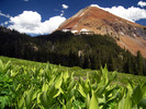 photo thumbnail #7