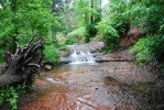 photo thumbnail #13
