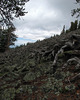 photo thumbnail #13