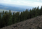 photo thumbnail #14