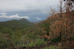 photo thumbnail #1