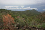 photo thumbnail #2