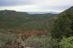 photo thumbnail #6