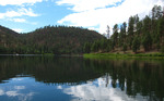 photo thumbnail #2