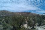 photo thumbnail #2