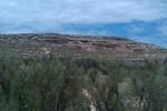 photo thumbnail #3