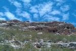 photo thumbnail #5