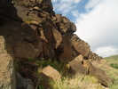 photo thumbnail #15
