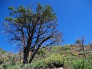 photo thumbnail #11