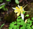 photo thumbnail #4