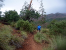 photo thumbnail #9