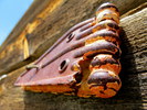 photo thumbnail #6