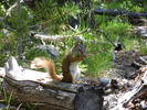 photo thumbnail #7