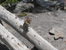 photo thumbnail #14
