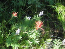photo thumbnail #5