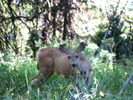 photo thumbnail #6