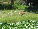 photo thumbnail #13