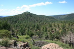 photo thumbnail #6