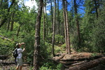 photo thumbnail #9