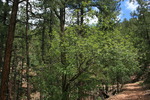 photo thumbnail #8