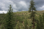 photo thumbnail #10