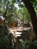 photo thumbnail #13
