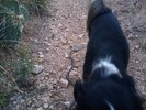 photo thumbnail #1