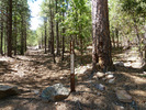 photo thumbnail #13