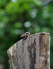 photo thumbnail #14