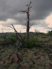 photo thumbnail #10