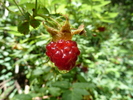 photo thumbnail #13