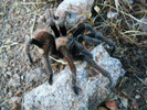 photo thumbnail #1