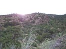 photo thumbnail #12