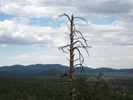 photo thumbnail #15