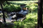 photo thumbnail #10