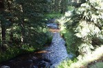 photo thumbnail #11