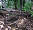 photo thumbnail #9