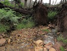 photo thumbnail #10