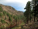 photo thumbnail #12