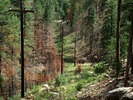 photo thumbnail #13